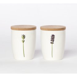 Nr. 04: Lavendel