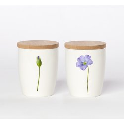 Nr. 07: H�rblomst