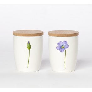 Nr. 07: H�rblomst