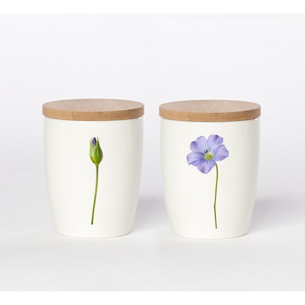Nr. 07: H�rblomst