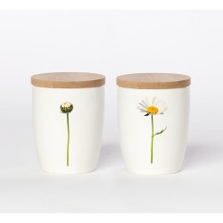 Nr. 08: Marguerit