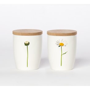 Nr. 08: Marguerit