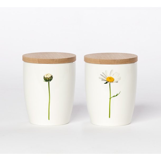 Nr. 08: Marguerit