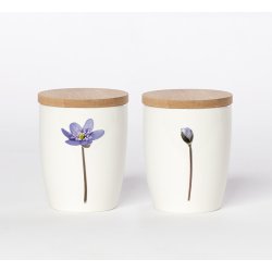 Nr. 10: Bl� Anemone