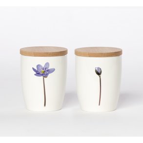 Nr. 10: Bl� Anemone