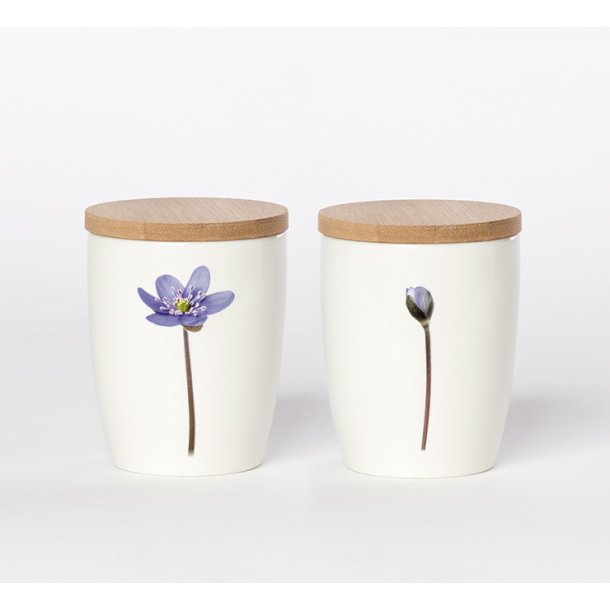 Nr. 10: Bl� Anemone