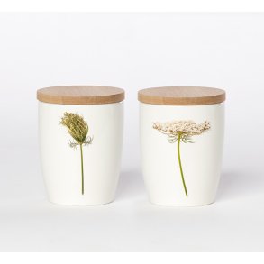 Nr. 16: Vild Gulerod