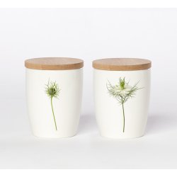 Nr. 32: Hvid Nigella