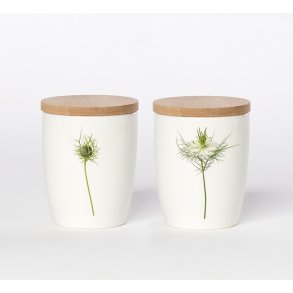 Nr. 32: Hvid Nigella