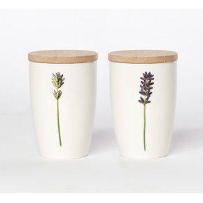 Nr. 04: Lavendel
