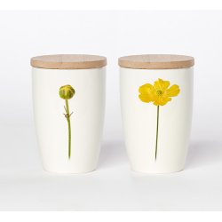 Nr. 05: Sm�rblomst 