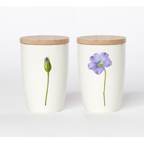 Nr. 07: H�rblomst