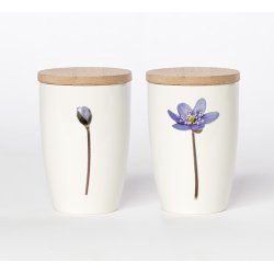 Nr. 10: Bl� Anemone