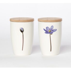 Nr. 10: Bl� Anemone