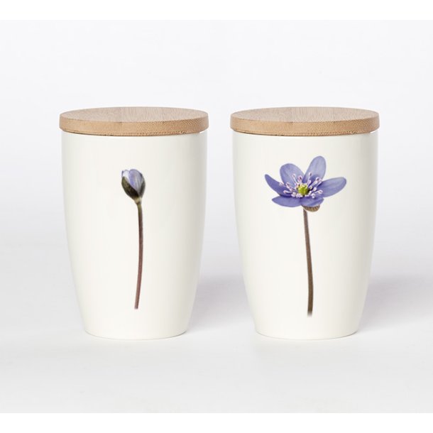 Nr. 10: Bl� Anemone