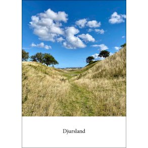 10: Ved Kal� Slotsruin 