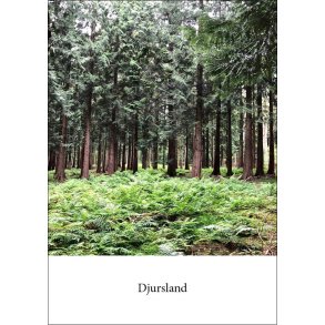 16: Hestehave Skov