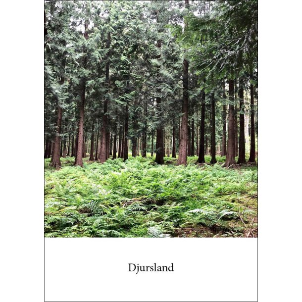 16: Hestehave Skov