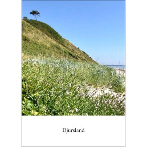 4: Fugls� strand