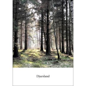5: Hestehave Skov