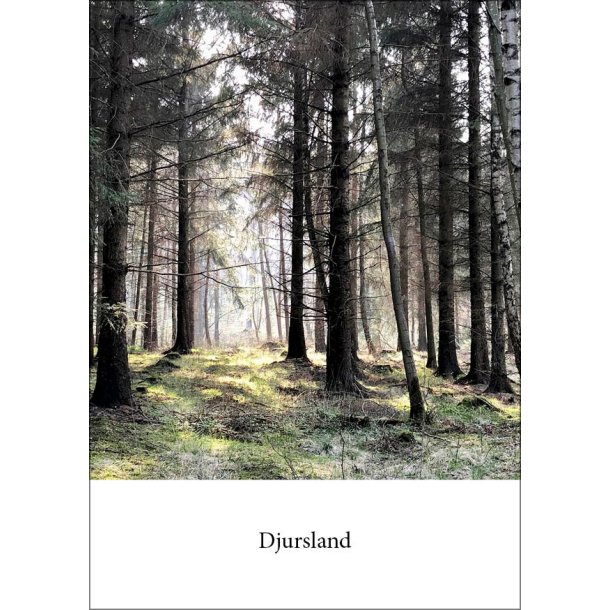 5: Hestehave Skov