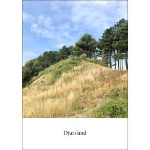 8: Ved Jernhatten