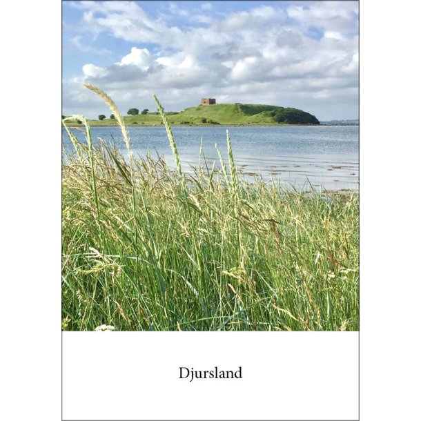 9: Kal� Slotsruin 