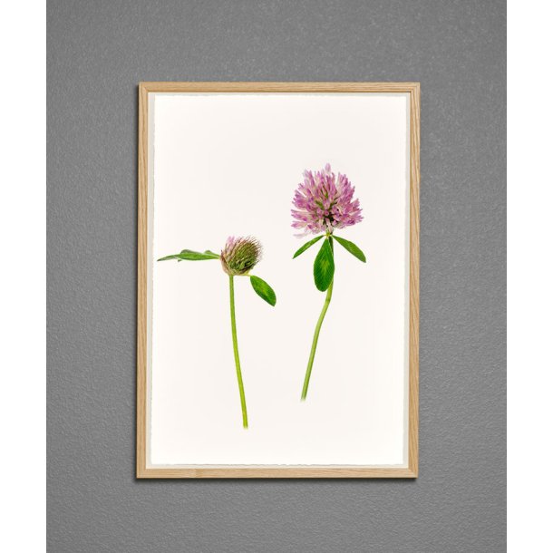Nr. 06: R�dkl�ver