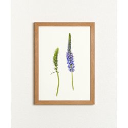 Nr. 12: Aks �renpris