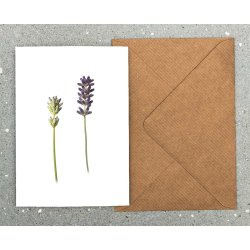 Nr. 04: Lavendel
