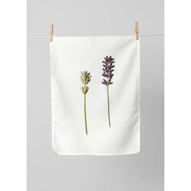 Nr. 04: Lavendel