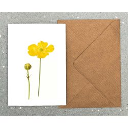 Nr. 05: Sm�rblomst