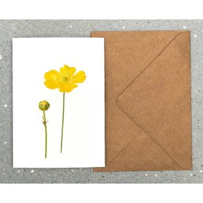 Nr. 05: Sm�rblomst
