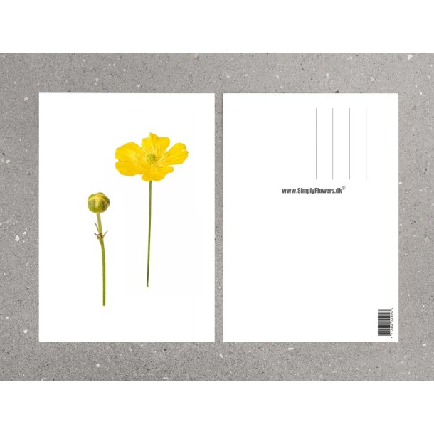 Nr. 05: Sm�rblomst