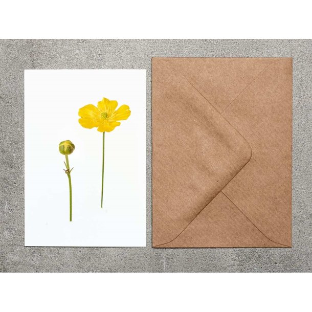 Nr. 05: Sm�rblomst