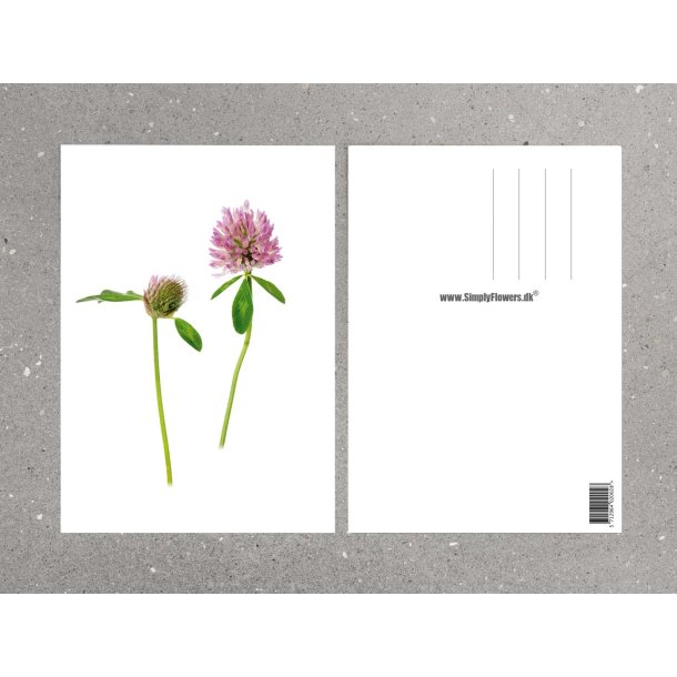 Nr. 06: R�dkl�ver
