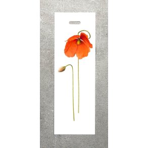 Nr. 09: Valmue