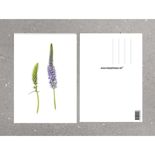Nr. 12: Aks-�renpris 