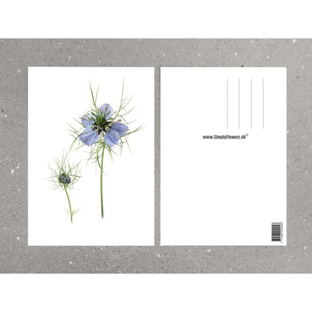 Nr. 13: Jomfru i det gr�nne