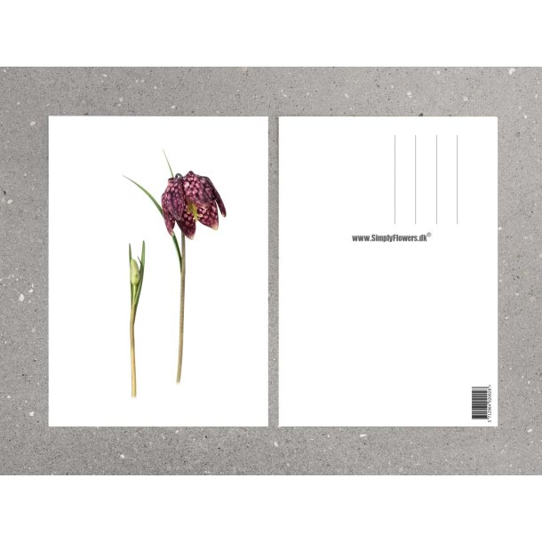 Nr.14: Vibe�g