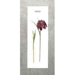 Nr.14: Vibe�g