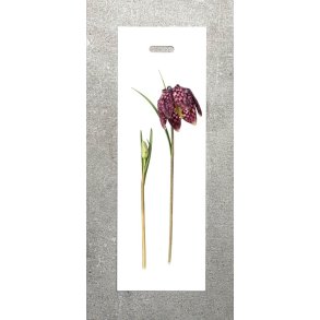 Nr.14: Vibe�g