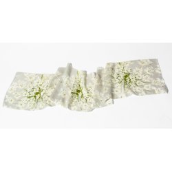Nr. 01: Silket�rkl�de Vild Gulerod