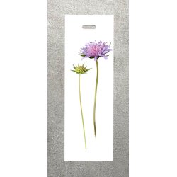 Nr. 20: Bl�hat