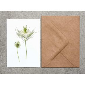 Nr. 32:  Jomfru i det gr�nne Hvid