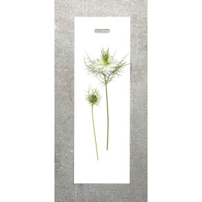 Nr. 32: Jomfru i det gr�nne Hvid