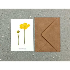Nr. 05: Sm�rblomst