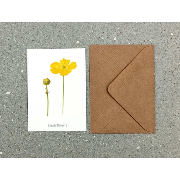 Nr. 05: Sm�rblomst