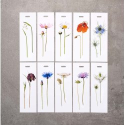 Nr.14: Vibe�g