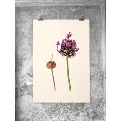 Nr.14: Vibe�g